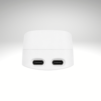 Bottom of Lerelle Beauty LED mask remote control showing two USB-C connector ports.