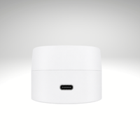 Lerelle Beauty LED mask remote control USB-C connector base